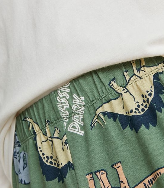 Adult Unisex Jurassic Park Pyjama Set
