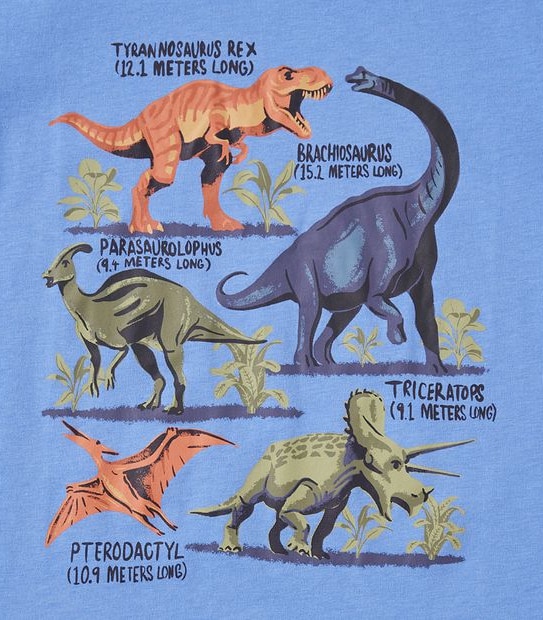 245138_15 SS TEE TABLE DINO - MARINA