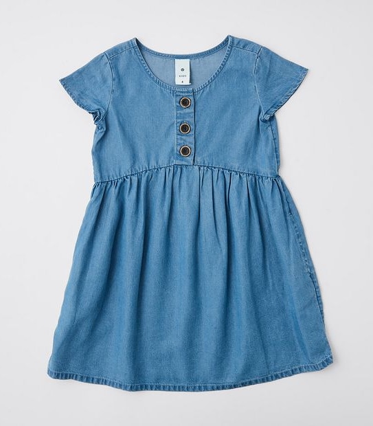 Chambray Dress