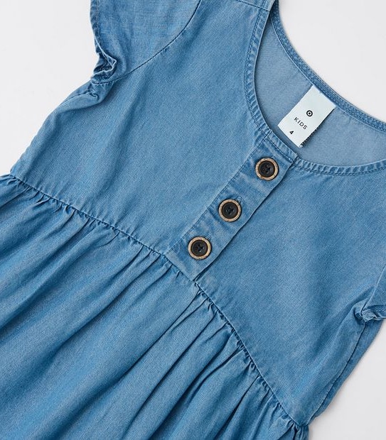 Chambray Dress