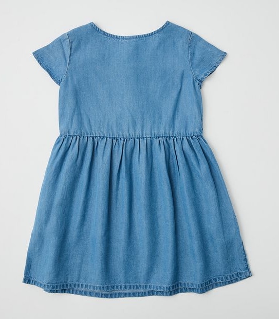 Chambray Dress