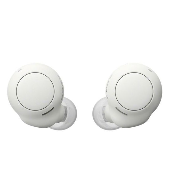Sony Truly Wireless Headphone WFC500B