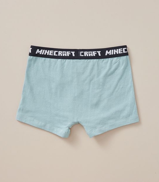 2 Pack Minecraft Trunks