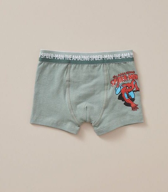 2 Pack Marvel Spiderman Trunks