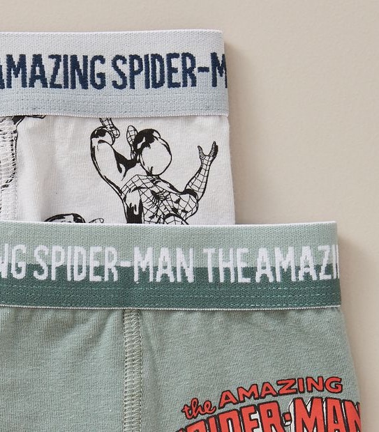 2 Pack Marvel Spiderman Trunks