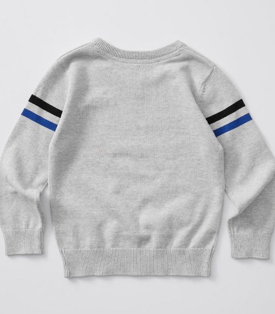 Dino Print Crew Jumper