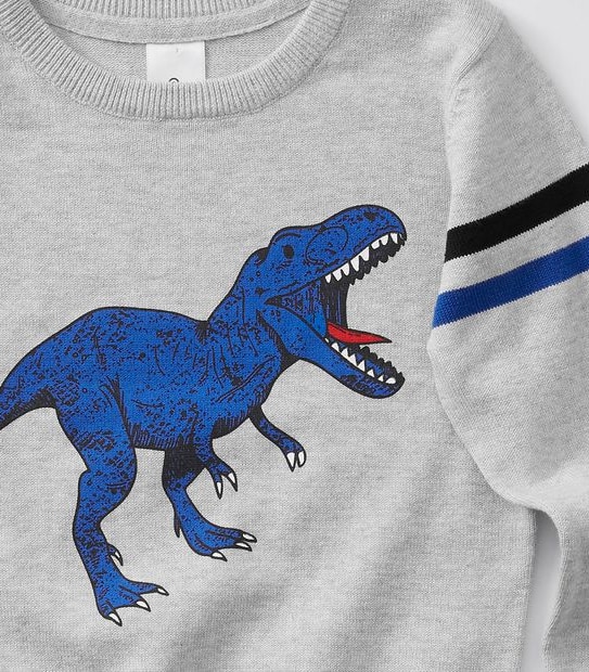 Dino Print Crew Jumper