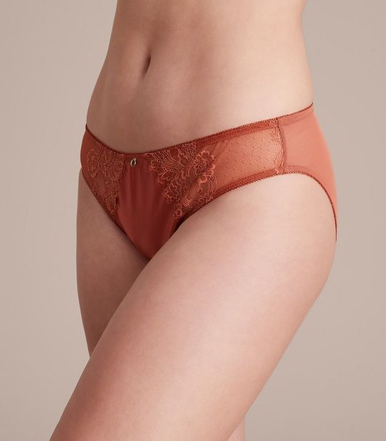 Preview Satin and Lace Bikini Briefs; Style: X22075