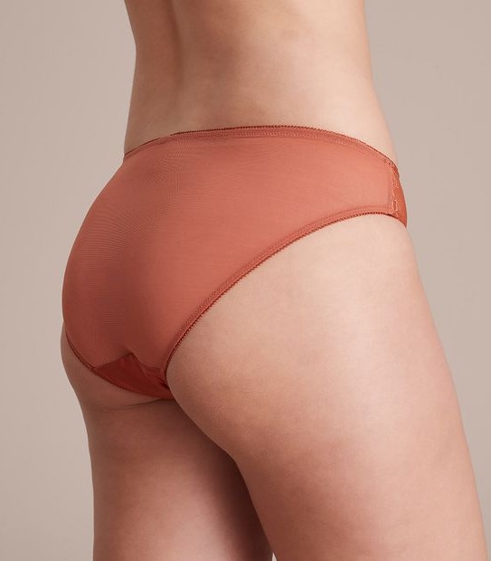 Preview Satin and Lace Bikini Briefs; Style: X22075
