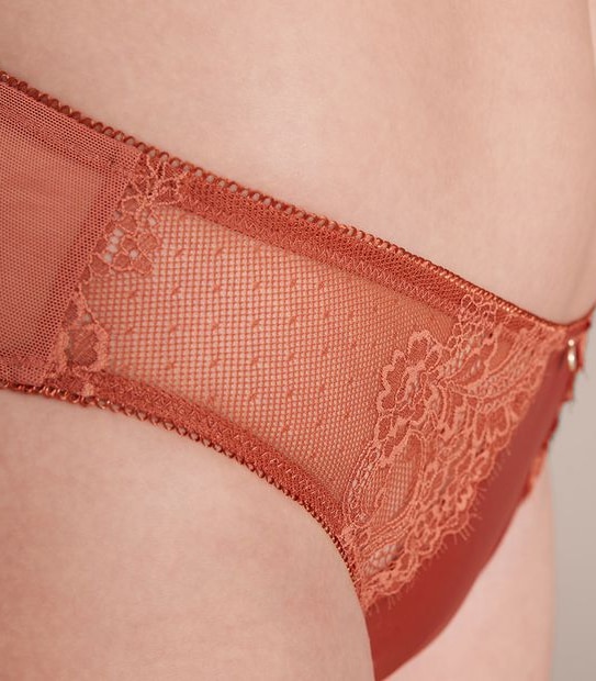 Preview Satin and Lace Bikini Briefs; Style: X22075