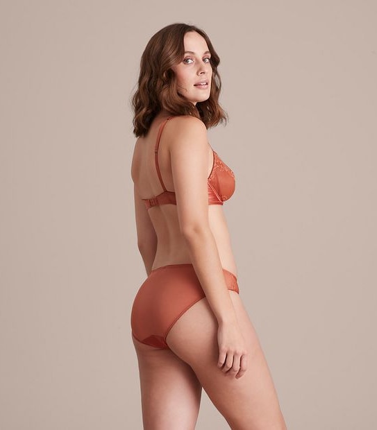 Preview Satin and Lace Bikini Briefs; Style: X22075