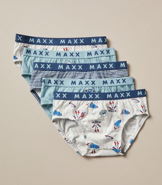 5 Pack Maxx Briefs