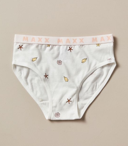 5 Pack Maxx Briefs