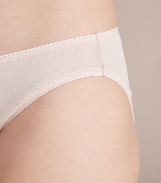 2 Pack Everyday Cotton Bikini Briefs; Style: LBK30310