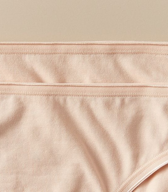 2 Pack Everyday Cotton Bikini Briefs; Style: LBK30310