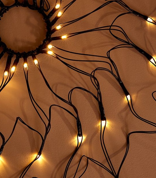 Halloween Light-Up Spider Web