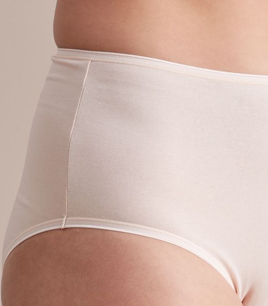 2 Pack Everyday Cotton Full Briefs; Style: LFB30307