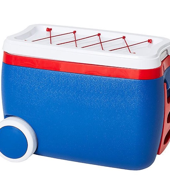 42 Hard Litre Cooler