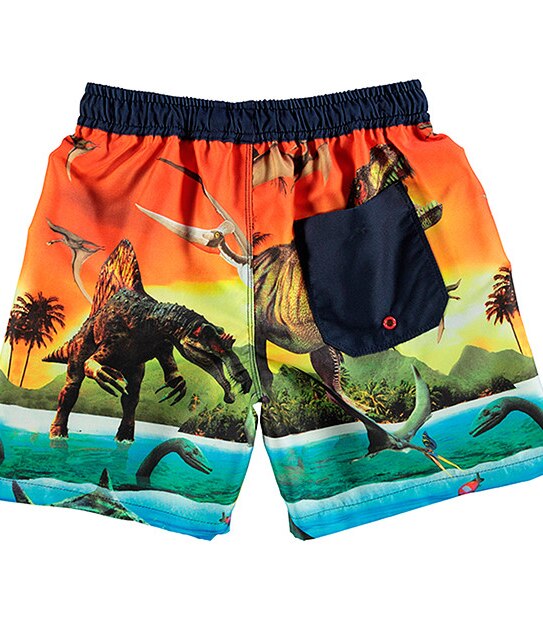 Boys' Dinosuar Print Boardshorts 2 of 3