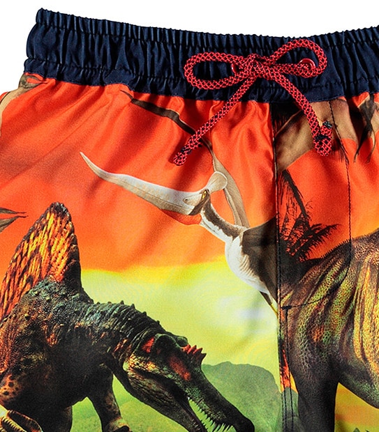 Boys' Dinosuar Print Boardshorts 3 of 3