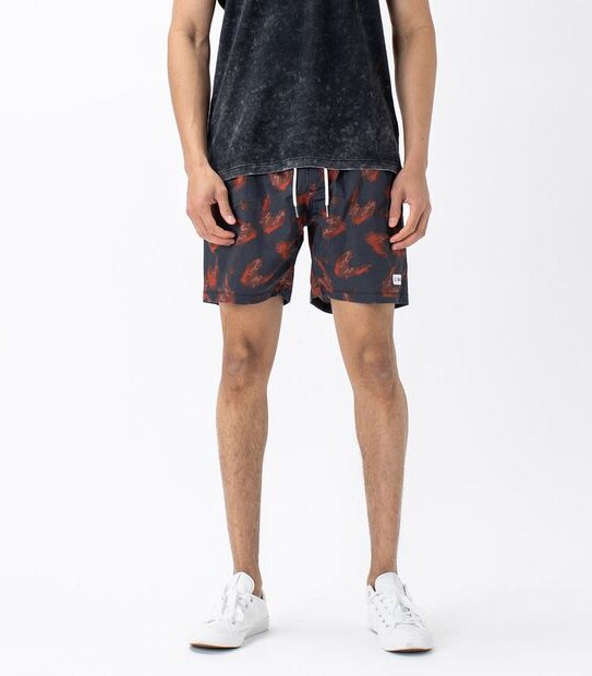 ZxZanerobe Volley Shorts
