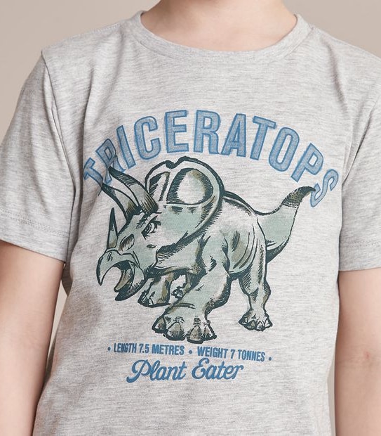 Organic Cotton Triceratops T-shirt