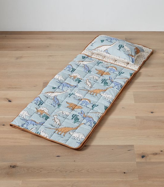 Jaden Dinosaur Sleeping Bag Set