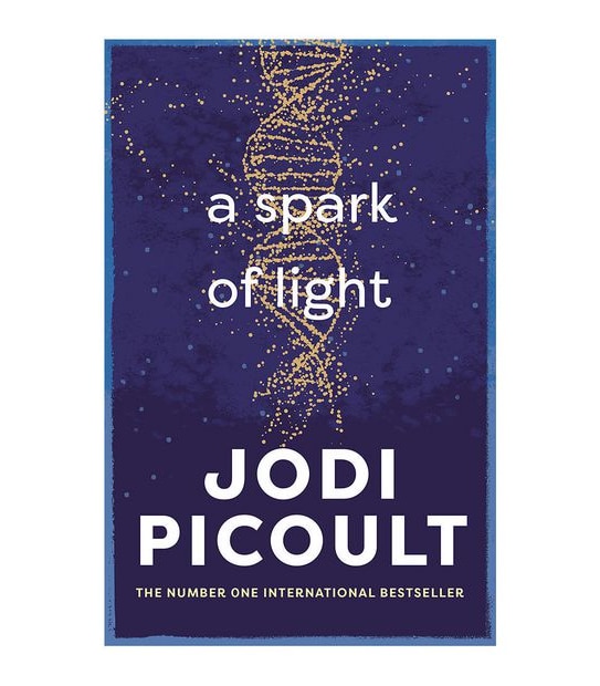 A Spark of Light - Jodi Picoult
