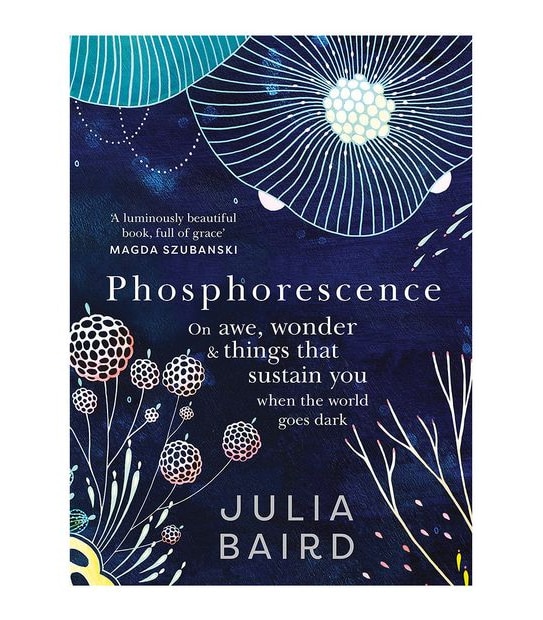 Phosphorescence - Julia Baird
