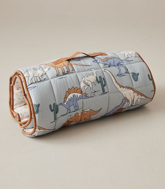 Jaden Dinosaur Sleeping Bag Set