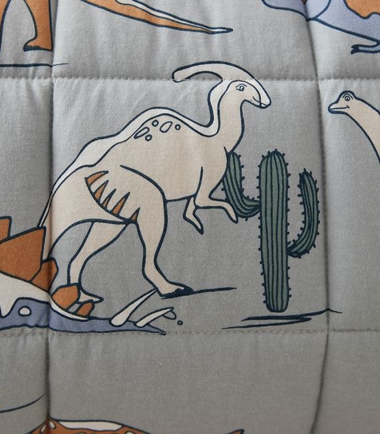 Jaden Dinosaur Sleeping Bag Set