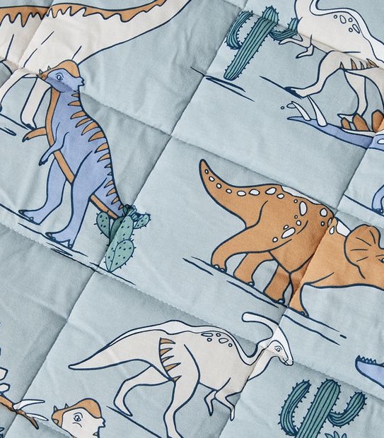 Jaden Dinosaur Sleeping Bag Set