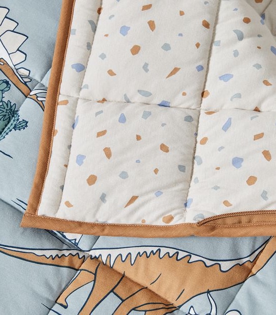 Jaden Dinosaur Sleeping Bag Set