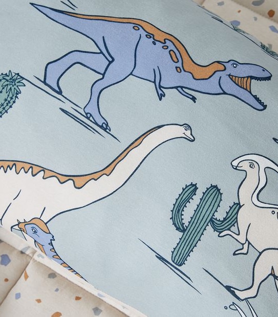 Jaden Dinosaur Sleeping Bag Set