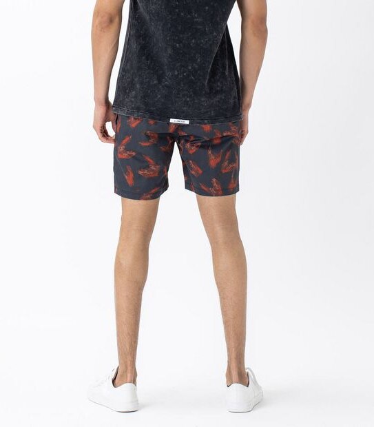 ZxZanerobe Volley Shorts