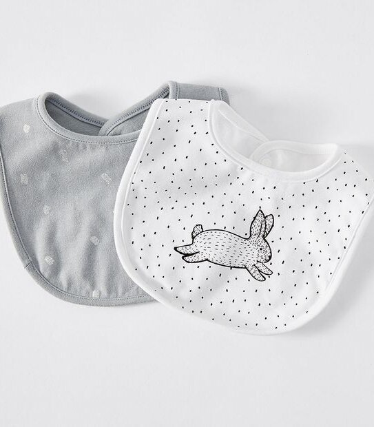 Fashion Bibs 2 Pack