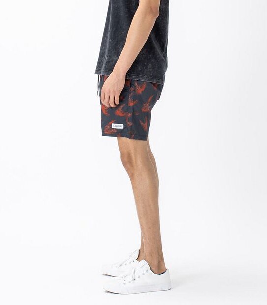 ZxZanerobe Volley Shorts