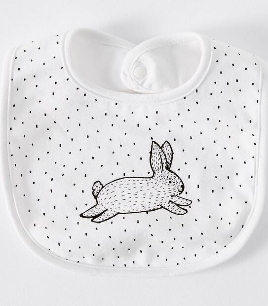 Fashion Bibs 2 Pack