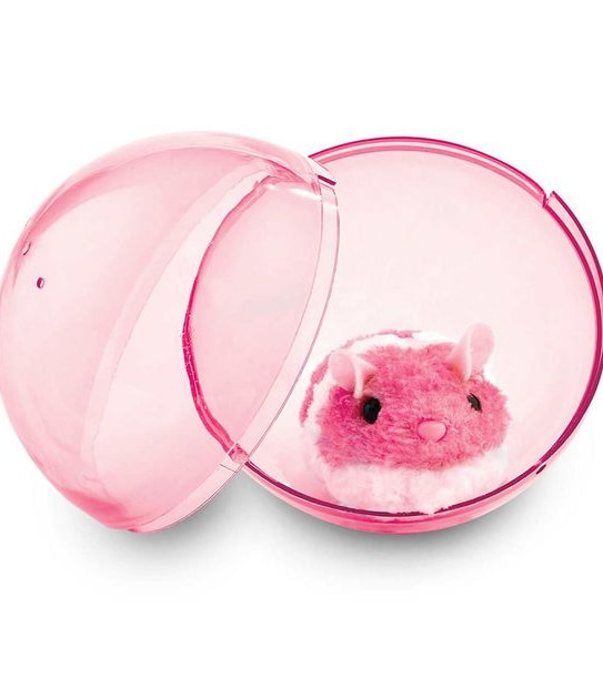 Pitter Patter Pets Busy Little Hamster Neon Edition Assorted