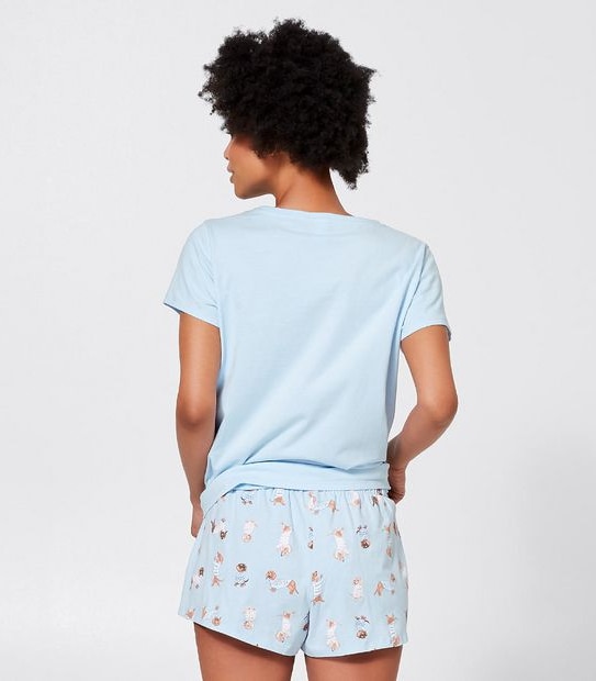Short Sleeve Shorts Sleep Set - Blue Dachshund