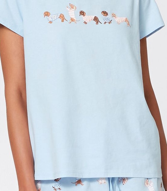 Short Sleeve Shorts Sleep Set - Blue Dachshund