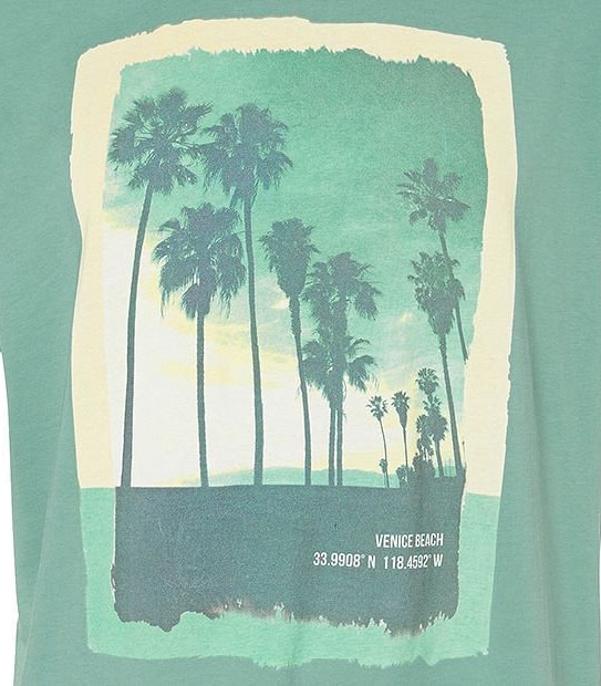 Venice Beach Print T-Shirt
