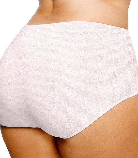 SpaFX Fuller Figure Full Briefs