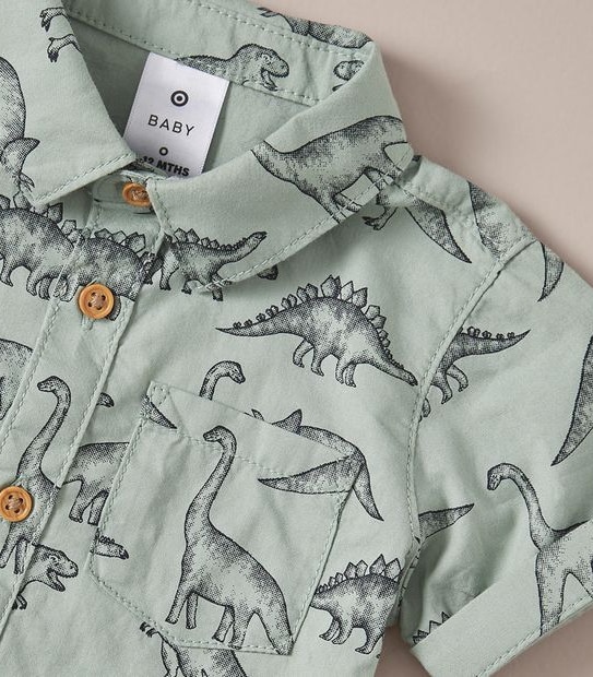 Baby Dinosaur Shirt