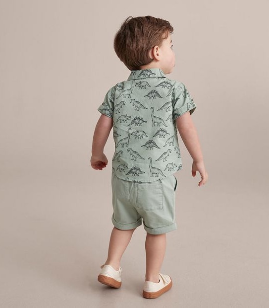 Baby Dinosaur Shirt