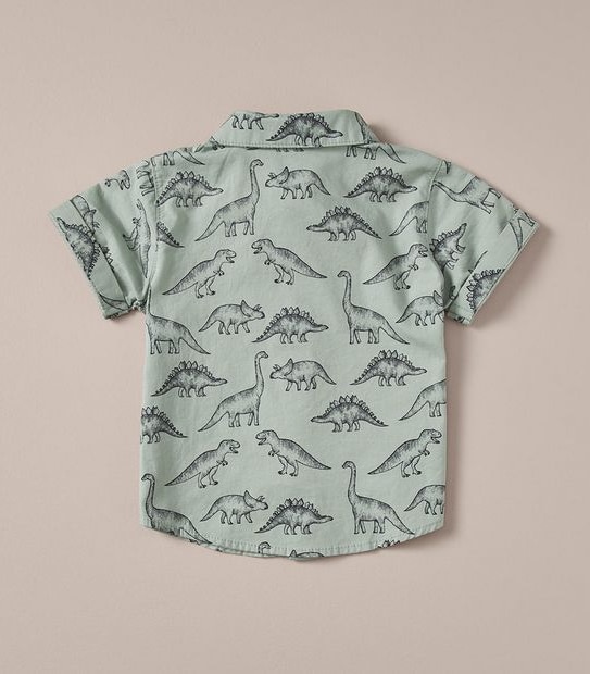 Baby Dinosaur Shirt