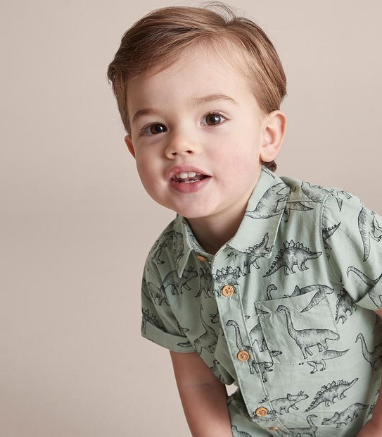 Baby Dinosaur Shirt