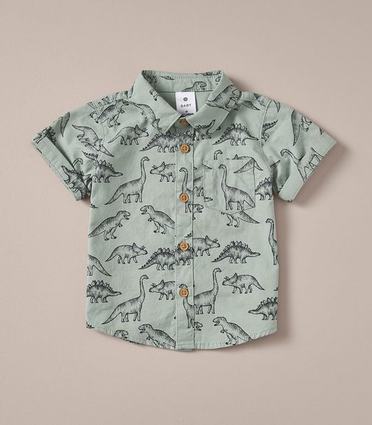 Baby Dinosaur Shirt