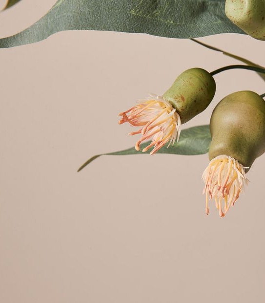 Faux Native Greenery in Vase