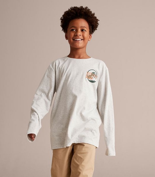 Jurassic Park Top